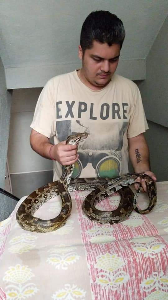 tweetsvirat's tweet image. A python ws left wid deep cuts aftr gttng stuck in a discarded plastic band. Also ended up starving as it cudnt swallow. #wildlife Vet Dr Rina Dev @drrinadev hs operated on it nd Team RAWW @RAWW_TWEETS hs been taking care of it. Think b4 discarding #plastic #plasticpollution