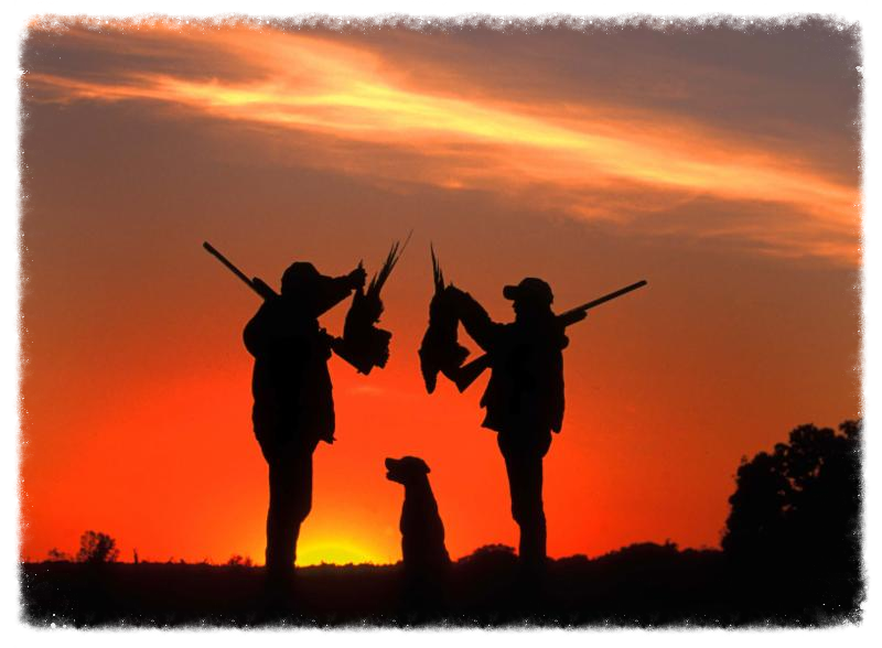lifeonthehunt tweet picture