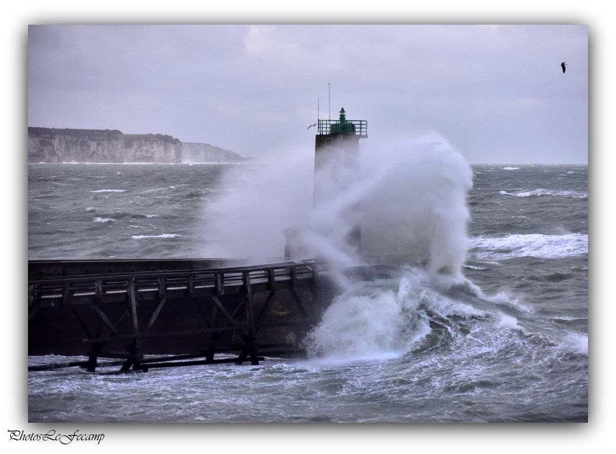 Fecamp Hashtag On Twitter