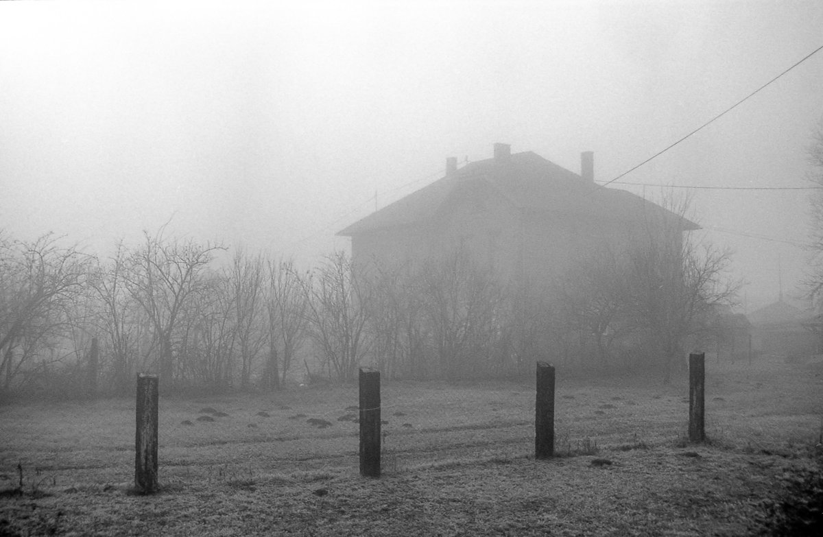 Chinon Genesis III , Fomapan 100 
#filmphotography #analogphotography