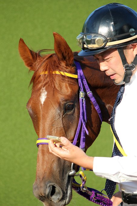 レッツゴードンキのtwitterイラスト検索結果 古い順