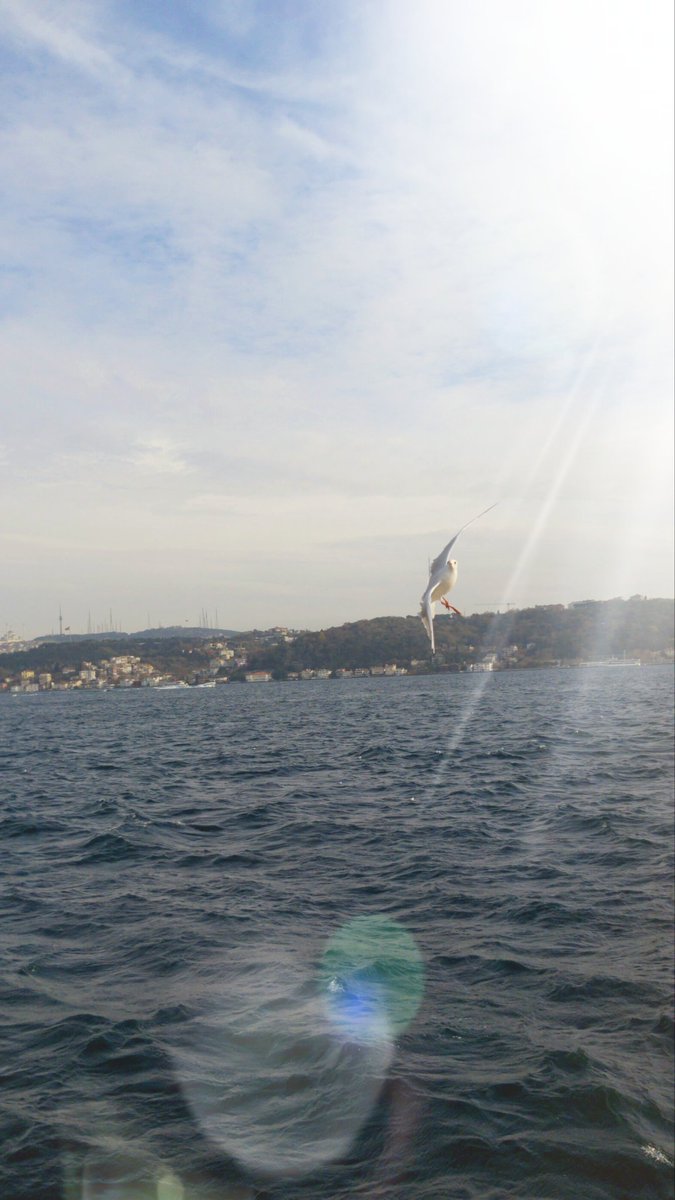 Haydar (@sswumw) on Twitter photo 