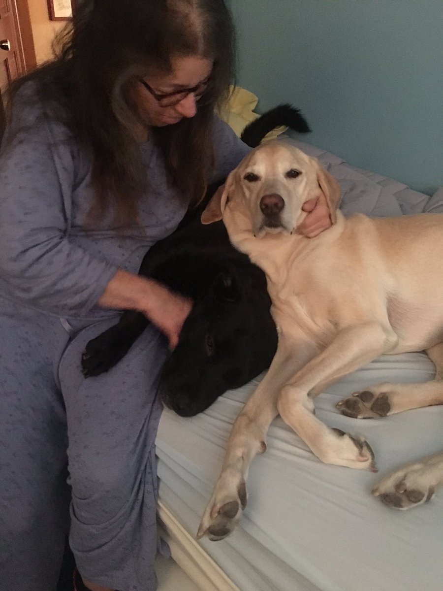 kimberlyalice78's tweet photo. We made it!!! 🐶💗🚗💨
#shuffleofftobuffalo #roadtrip #familytime #homefortheholidays #dogsofinstagram @mkolakow https://t.co/PQ5cwWBtjT