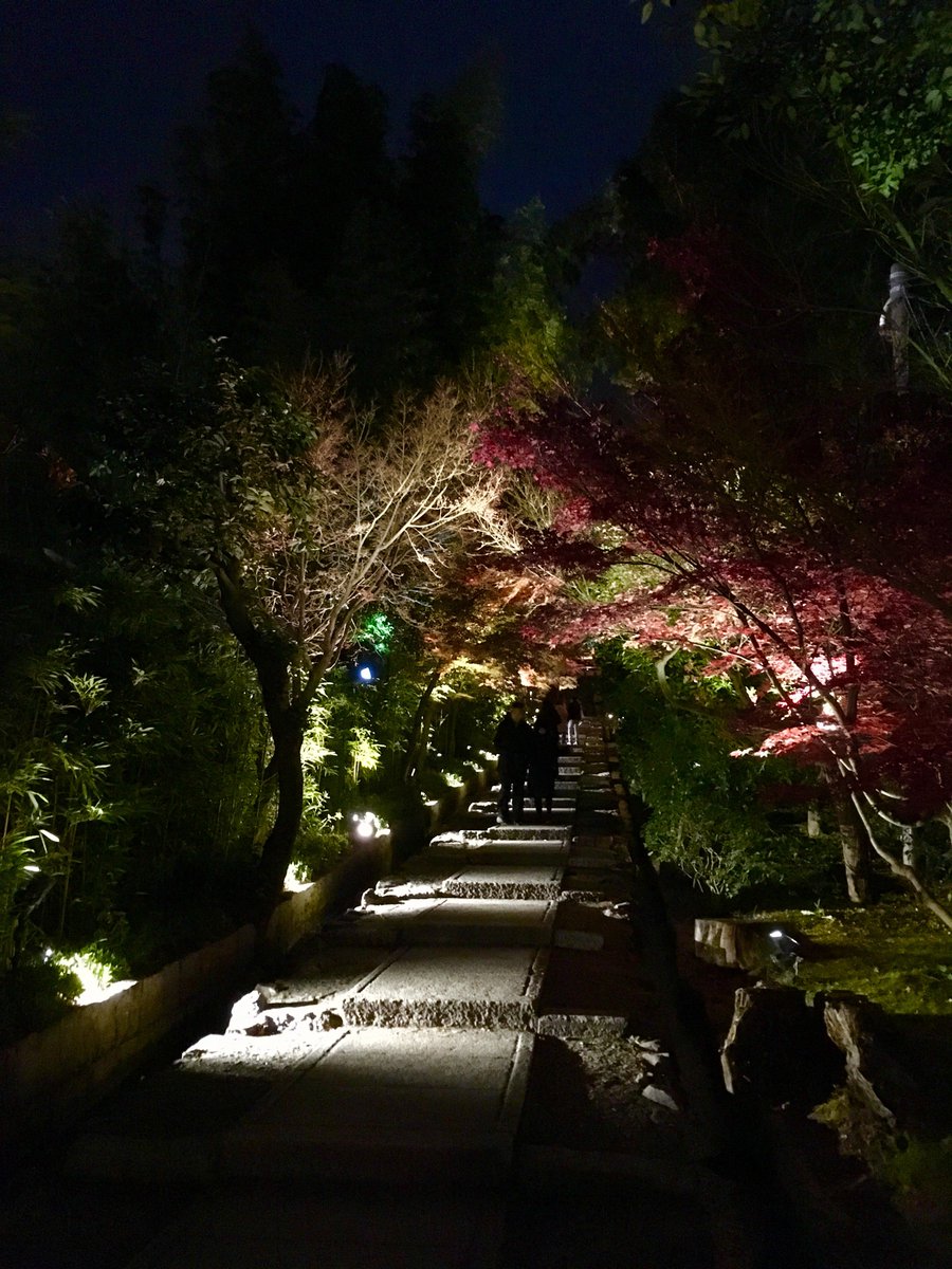 頂いてきた印たち。枢木神社といえばスザク(朱雀)ってことで東福寺付近のお寺と高台寺にて。蓄光の御朱印て珍しい気がする 