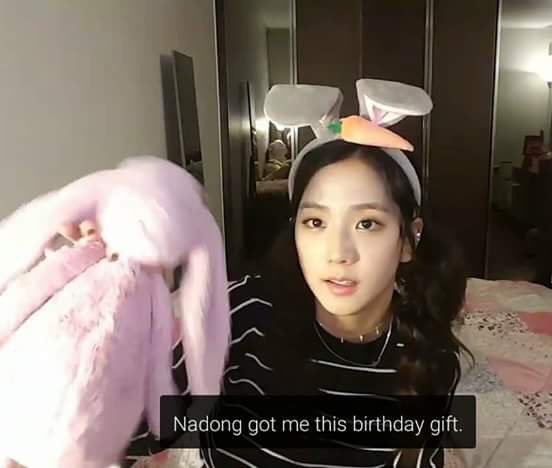 when nayeon got jisoo a bunny stuffed animal for her birthday 