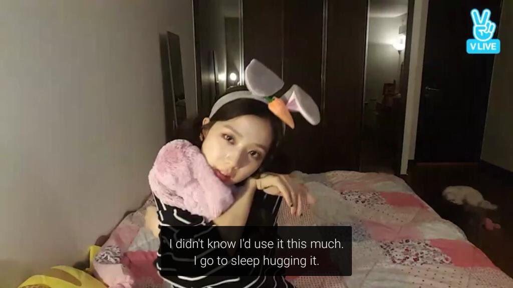 when nayeon got jisoo a bunny stuffed animal for her birthday 