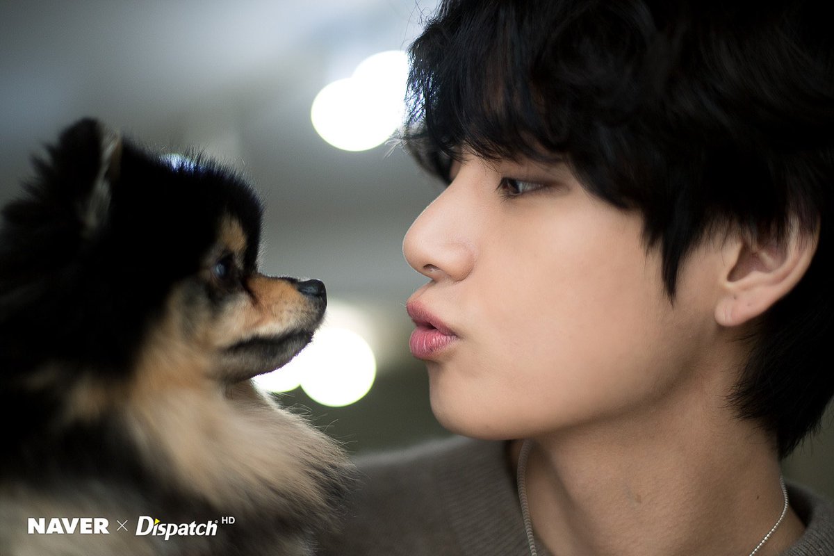 taehyungpic's tweet photo. [ Dispatch #V ] ➀
🐯💜🐶

 #태형생일ㅊㅋ
#HappyBirthdayTaehyung 
#BornToVLoved 

#방탄소년단 #뷔 #방탄소년단뷔 #태형 #BTS #V #BTSV #taehyung @BTS_twt https://t.co/PhLCAmQnId