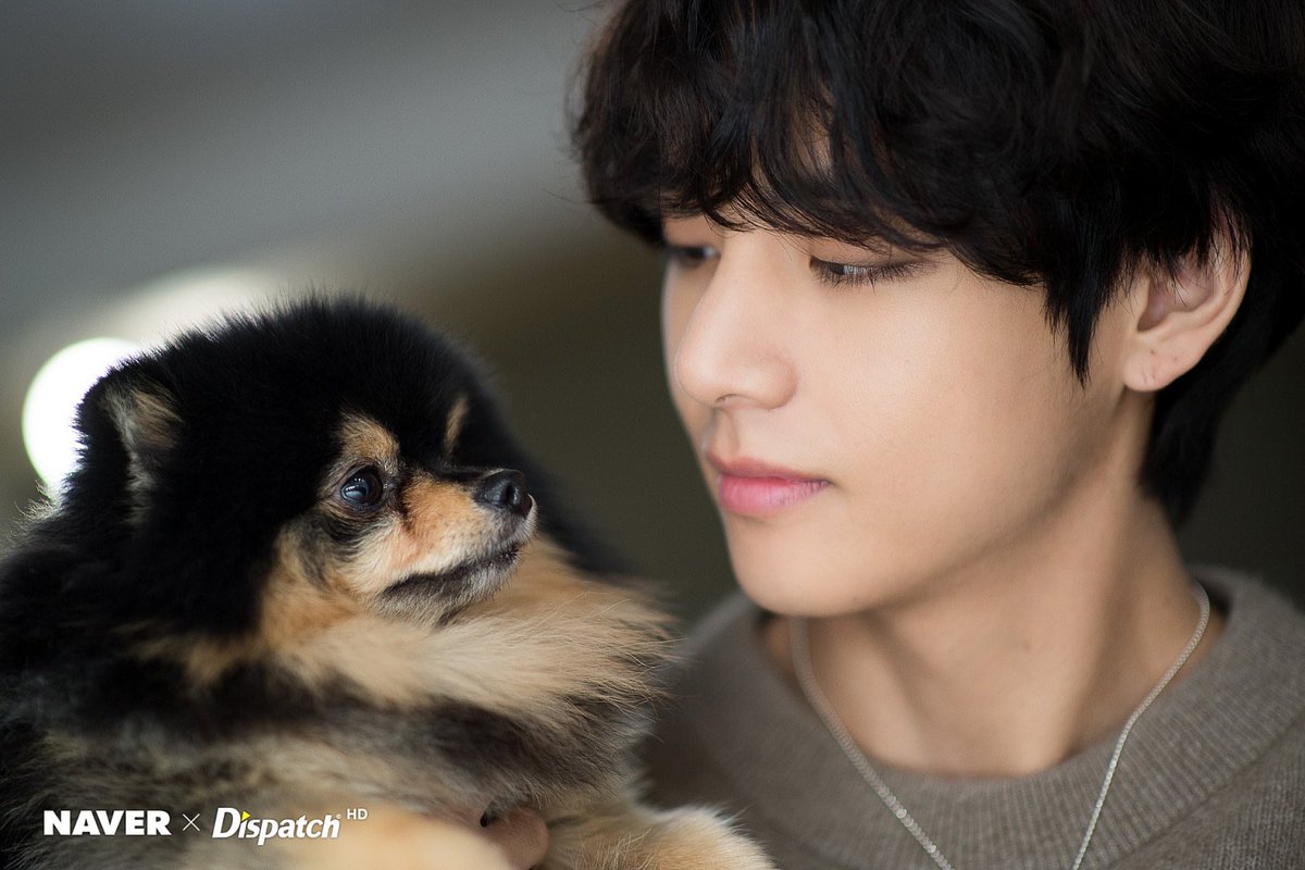 taehyungpic's tweet photo. [ Dispatch #V ] ➀
🐯💜🐶

 #태형생일ㅊㅋ
#HappyBirthdayTaehyung 
#BornToVLoved 

#방탄소년단 #뷔 #방탄소년단뷔 #태형 #BTS #V #BTSV #taehyung @BTS_twt https://t.co/PhLCAmQnId