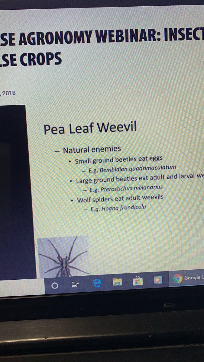 Carrie Butterwick tweet media