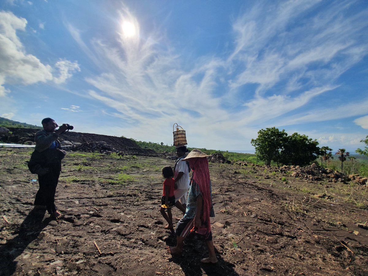 didikasim's tweet photo. Mengikuti mama-mama pagi ke ladang untuk menanam jagung, di Pulau Solor, Flores Timur. Videographer @ricky99099
#ngionassignment #journalist #workatnatgeo https://t.co/3taEnY5eyz