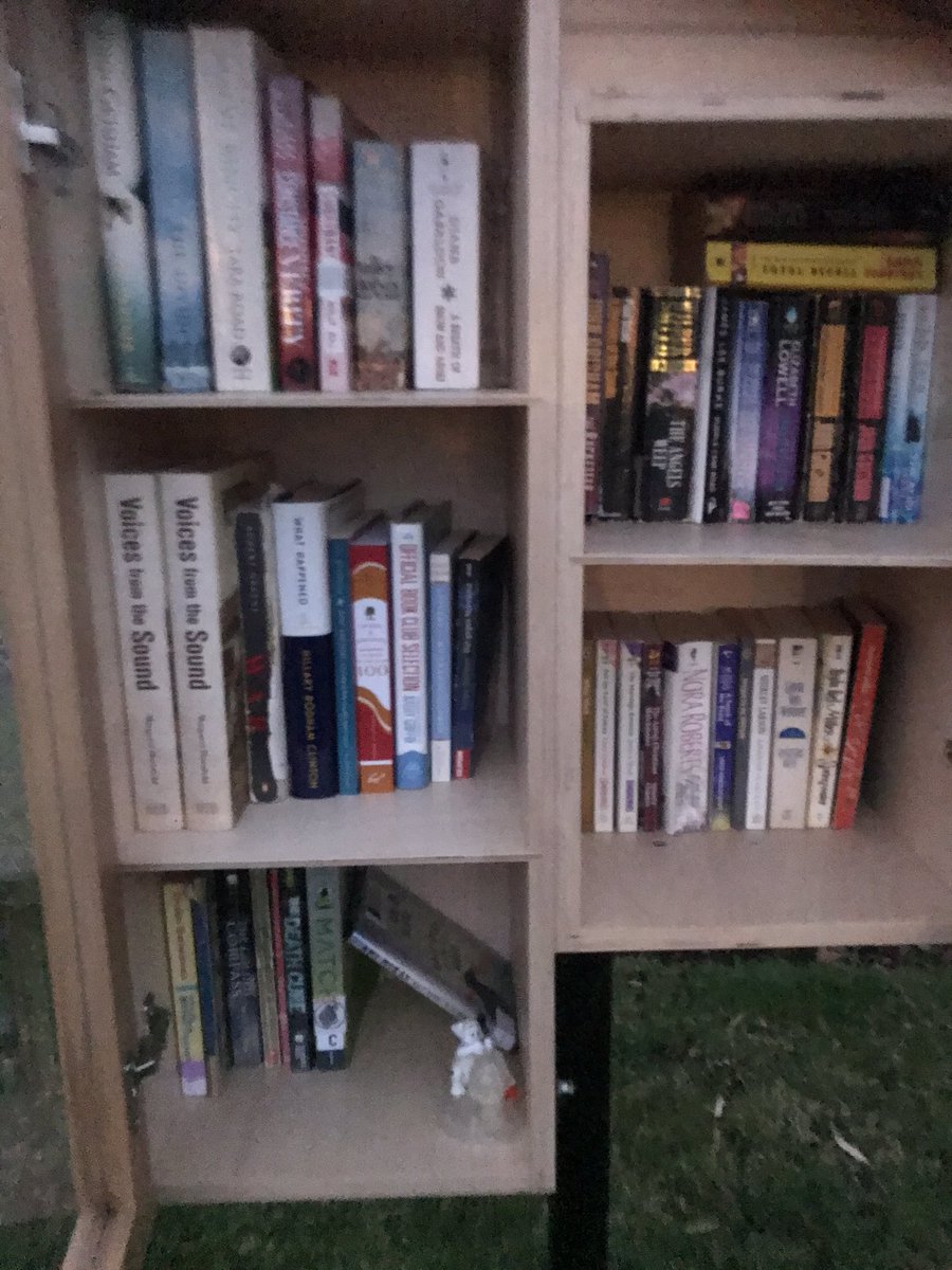 KingsleyLfl's tweet photo. Today’s #shelfie featuring a neat Vancouver Island book! Two copies even! #littlefreelibrary #yyj #saanich https://t.co/zBVAeUTiJl