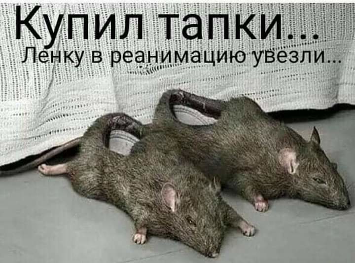 prankxxx's tweet photo. https://t.co/F3AMlR9A2q