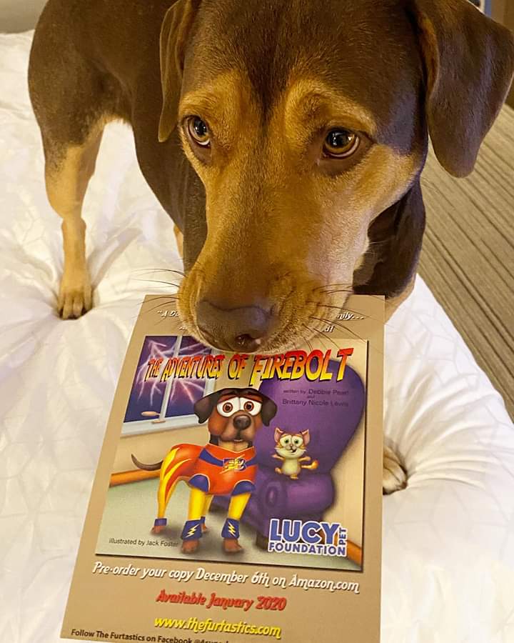 Guess what? It’s almost January and our first book in the series 📚will be coming out soon! Get ready here comes “Firebolt” ⚡️(Shelby MovieStar)⚡️

Brought to you by the  Lucy Pet Foundation 

thefurtastics.com 

#thefurtastics #firebolt #rescuedogs #childrensbooks #kids