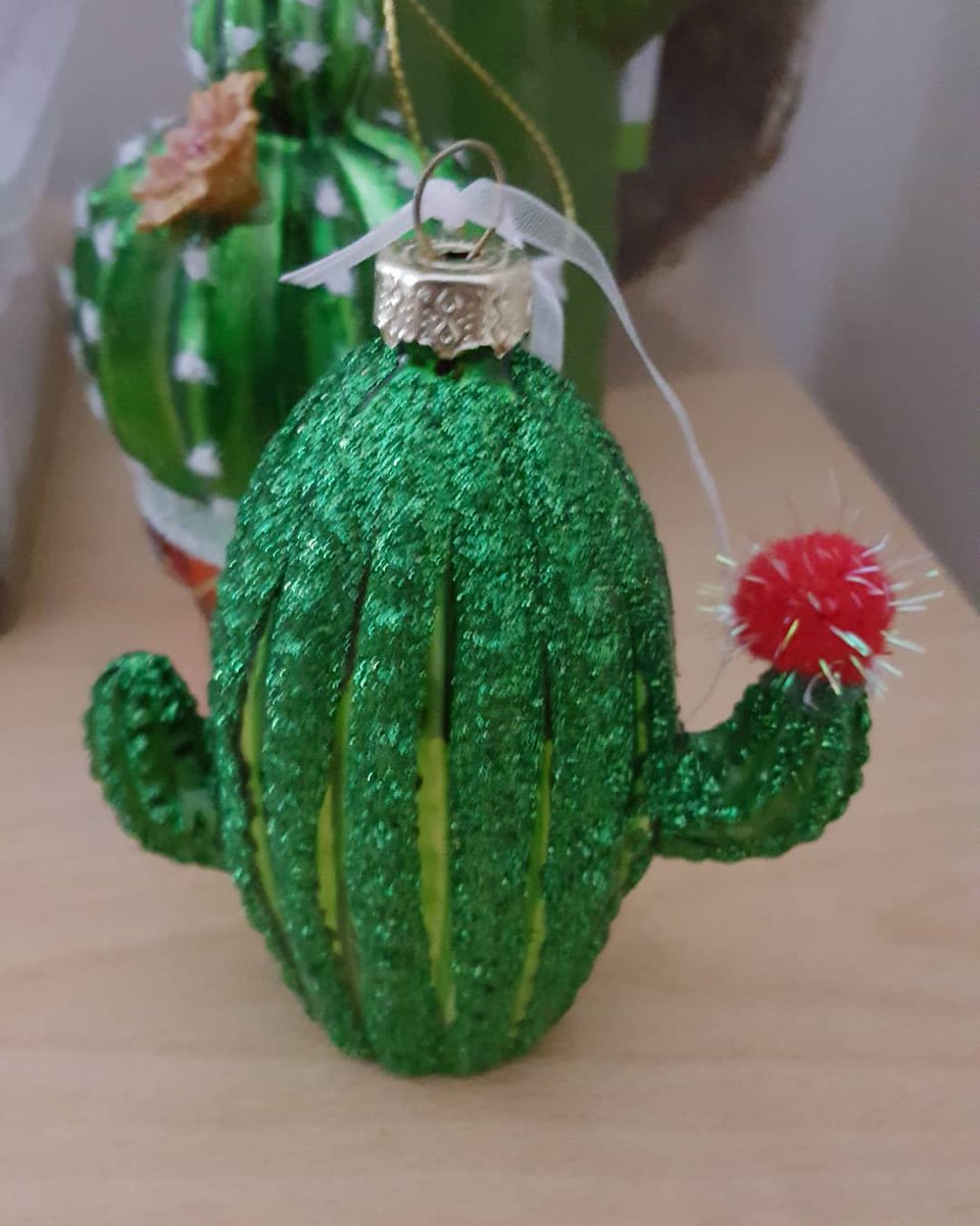 MarcusFredrick5's tweet photo. Crazy cactus guy. https://t.co/EiTBHh3MWc