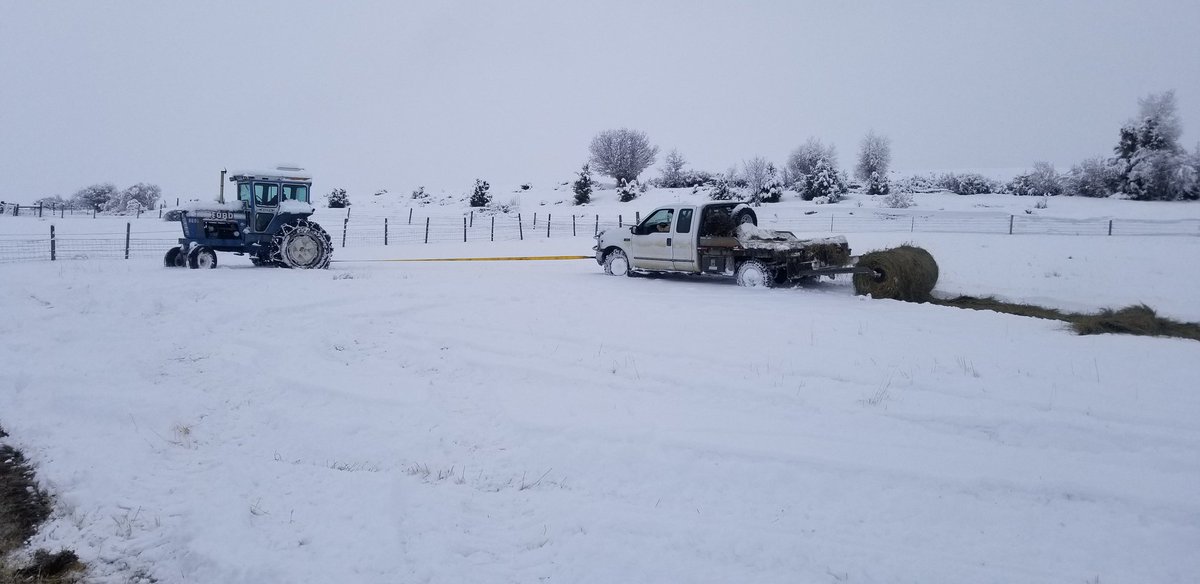 CatalystCattle's tweet photo. It wouldn't be winter without getting equipment stuck and using a tractor to pull your feeding pickup.
#catalystcattle #Montana #thisranchlife #murraygrey #murraygreyinternational #winter #feeding #stuck #tractor #snow https://t.co/nrjqmMavH6