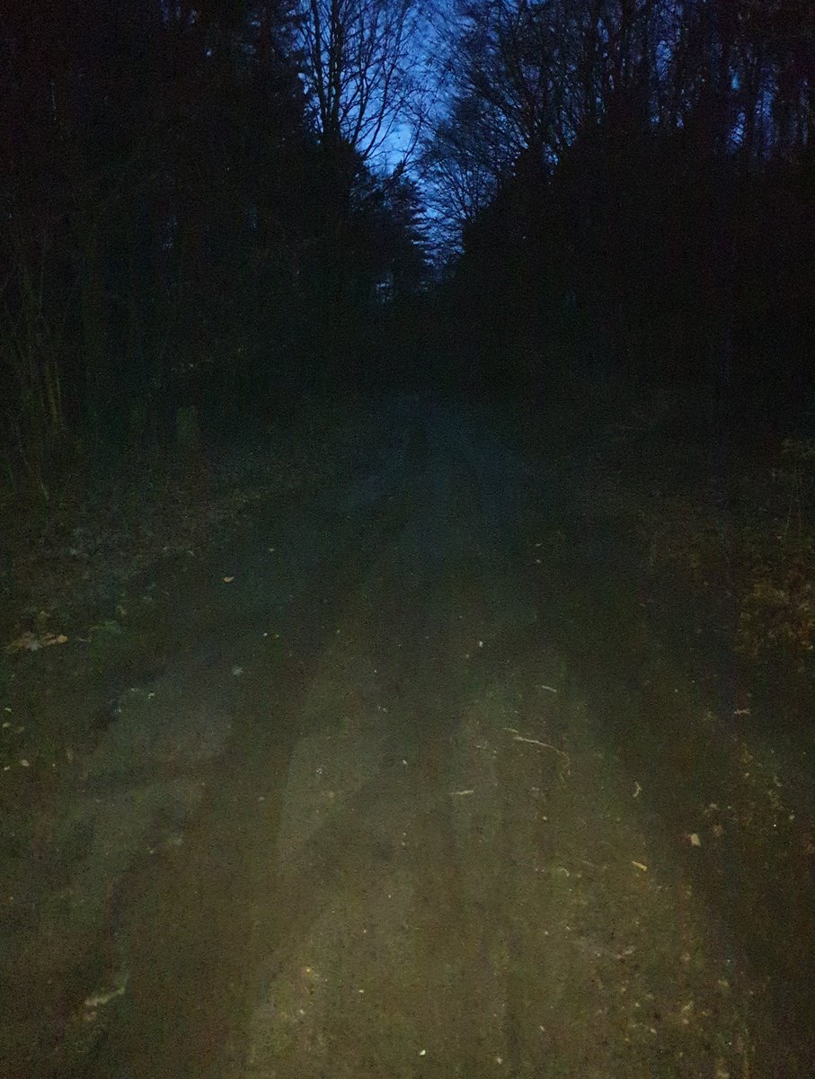 Berlinradlerin's tweet photo. @Pati_Kore Wollte mehr schaffen, scheiterte an der Qualität des internationalen Radfernwegs :-(
Europastraße in der Nähe war von rücksichtslosen #Blechdeppen diverser Nationen dominiert.
Okay, im 3. Bild wird gebaut, #Wurzelschutzfolie. https://t.co/ec92ZG9RmH