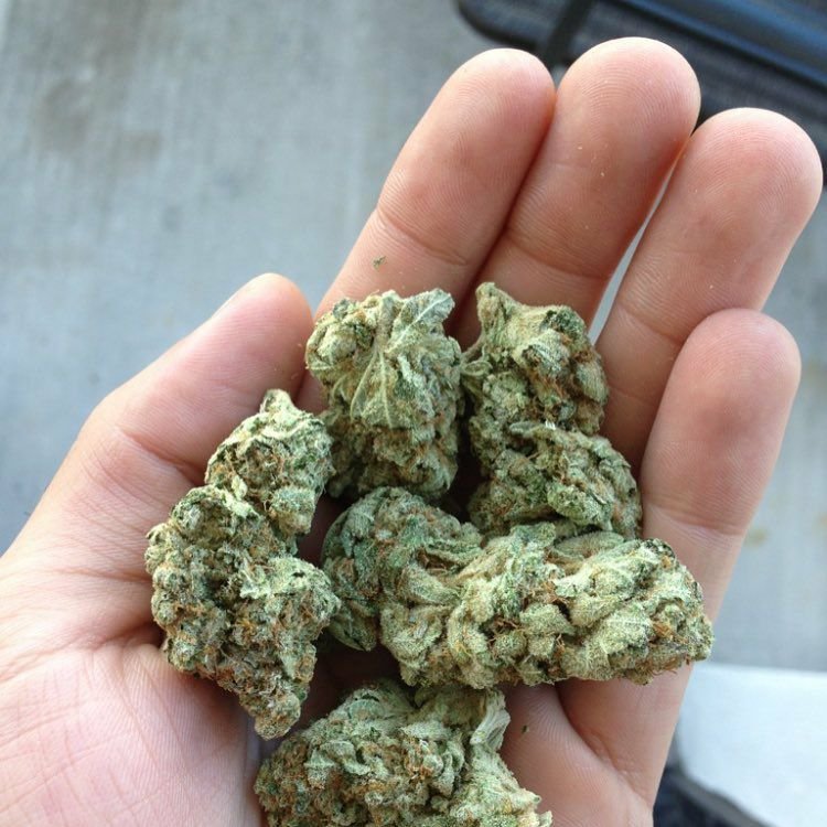 Uberbeuh33's tweet photo. Livraison possible
Inbox via WhatsApp
+33644687503
Wickr//uberbeuh
Telegram//uber_beuh
. .
.
.
#parisphoto #disneylandparis #parisjetaime #visitparis #parisfashion #parisianstyle #parisfrance #parisbynight #parisfashionweek #parisian #paris #parisianlife #parisienne #paris🇫🇷 https://t.co/Q0CmZ1U4Yo