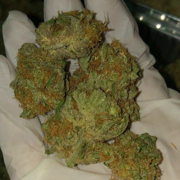 BosPriime's tweet photo. Livraison possible
Inbox via WhatsApp
+33644687503
Wickr//bossmaxx 
Telegram//bossmaxxw 
#parisphoto #disneylandparis #parisjetaime #visitparis
#parisfashion #parisianstyle #parisfrance #parisbynight
#parisfashionweek #parisian #paris #parisianlife #parisienne
#parisl https://t.co/9MpquF1yro