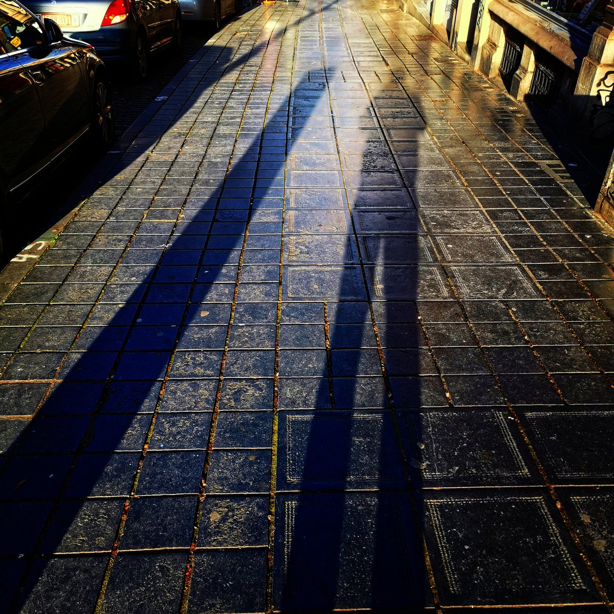 Mateusz's tweet photo. Ce fut une belle journée, entre le soleil de #SaintGilles, Tatooine, Baskerville, du cabillaud et des timbres et du gorgonzola. #shadowfie https://t.co/RQI26SwCWg