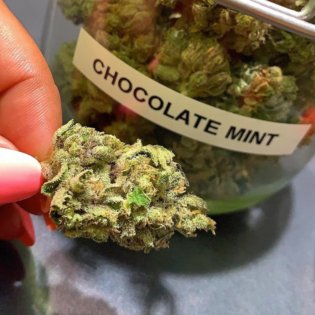 BosPriime's tweet photo. Livraison possible
Inbox via WhatsApp
+33644687503
Wickr//bossmaxx 
Telegram//bossmaxxw

#hotelparislasvegas🗼 #hotelpariscentro #hotelparisboulogne #hotelparisrivegauche #hotelparisprague #hotelparisvaugirard #hotelparistokyo #hotelparislouvreopera #hôtelparis https://t.co/3dtiGu9Yi8