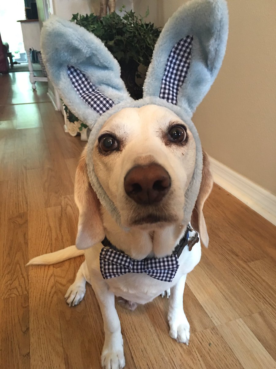 PascoCountyFB tweet media