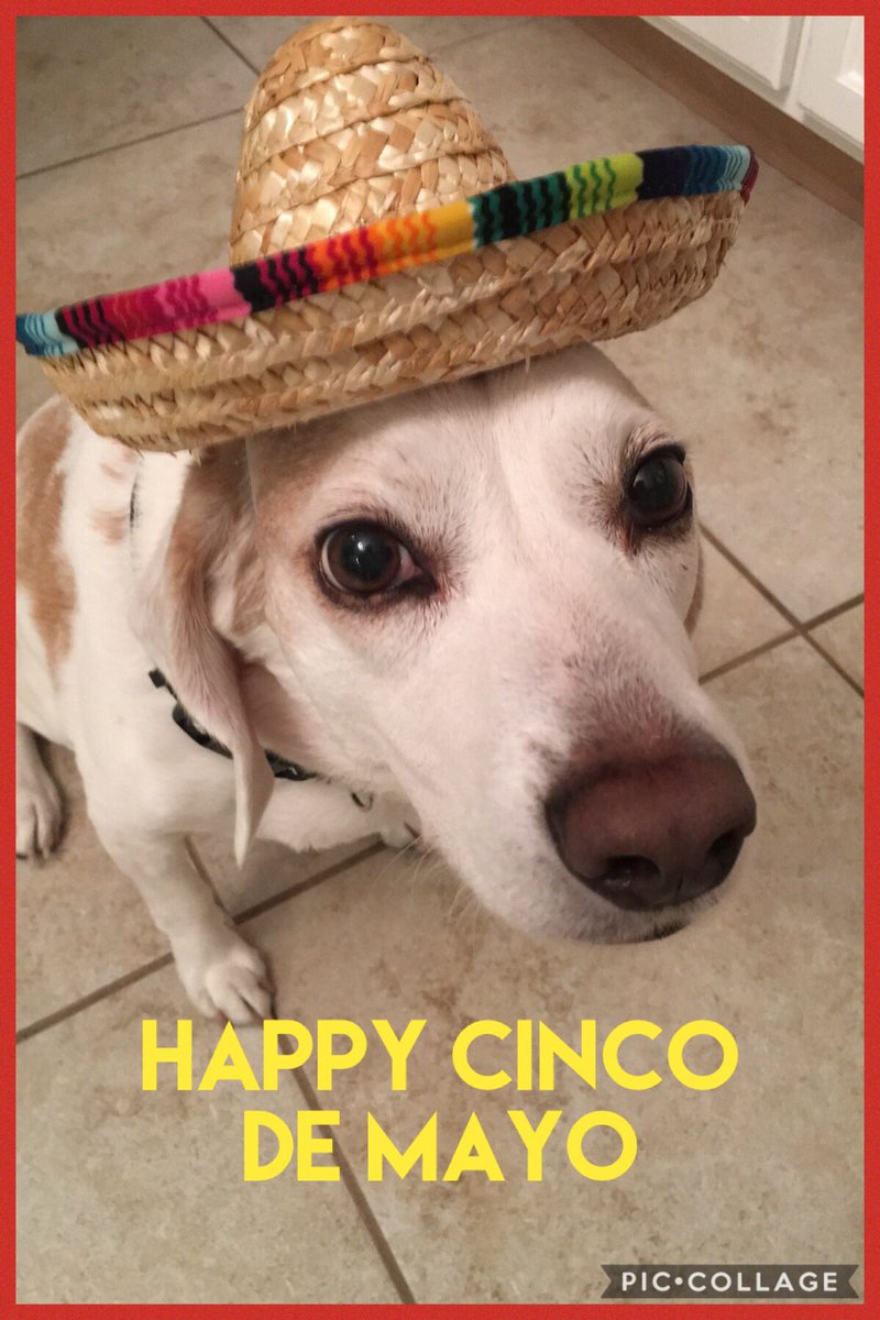 PascoCountyFB tweet media