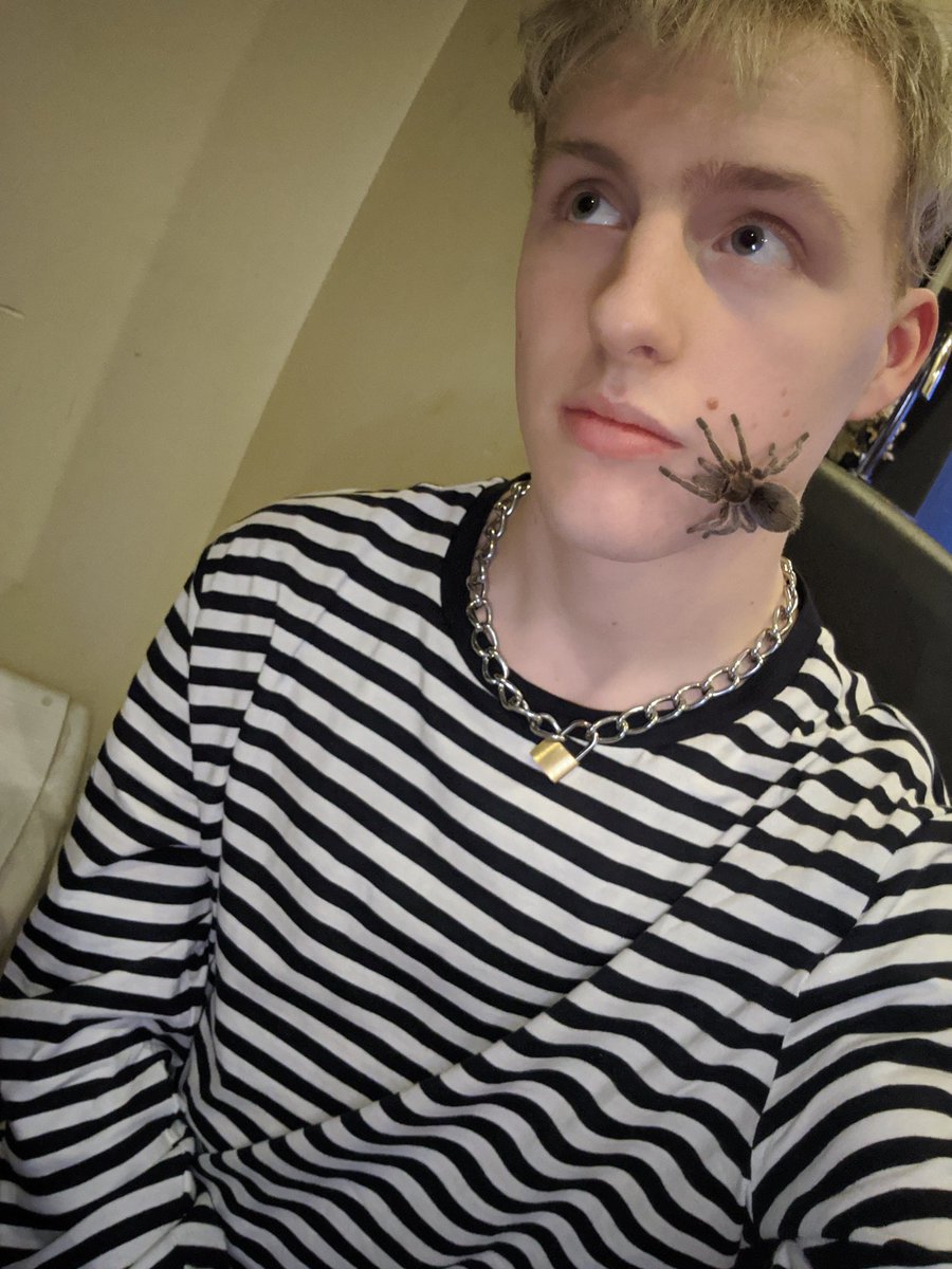 LouisCapHD tweet picture