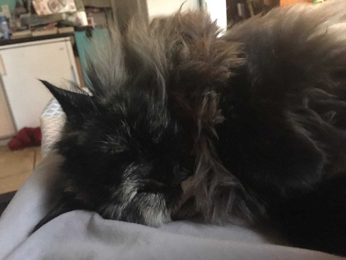 mommy is sick so we been snuggling her all day!!