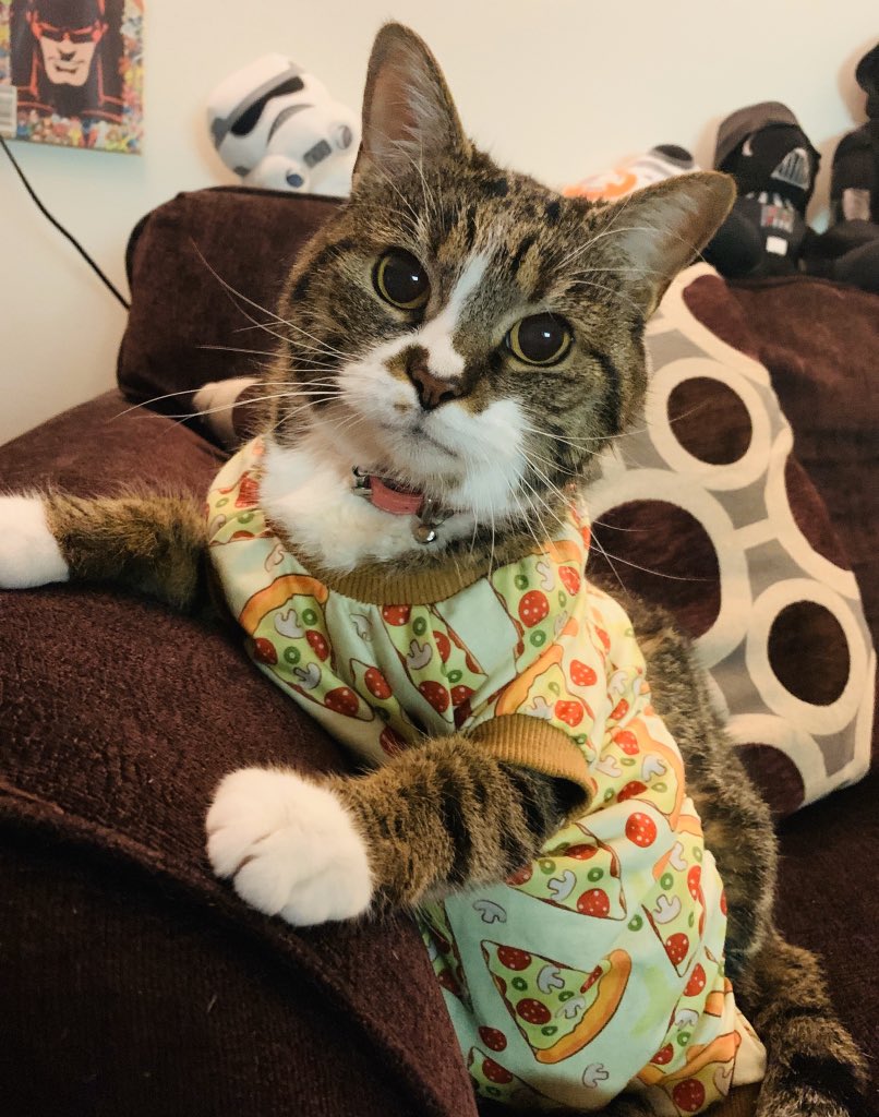 ErikSWayne's tweet image. Kiwi in Pizza pajama onesie time..