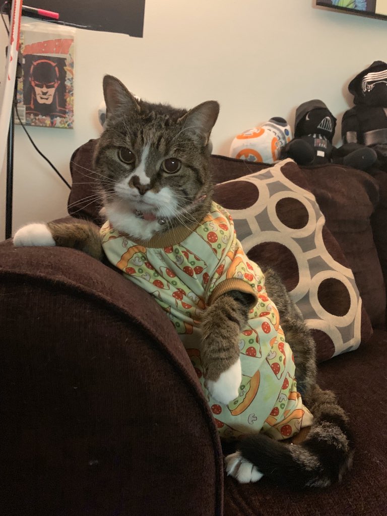 ErikSWayne's tweet image. Kiwi in Pizza pajama onesie time..
