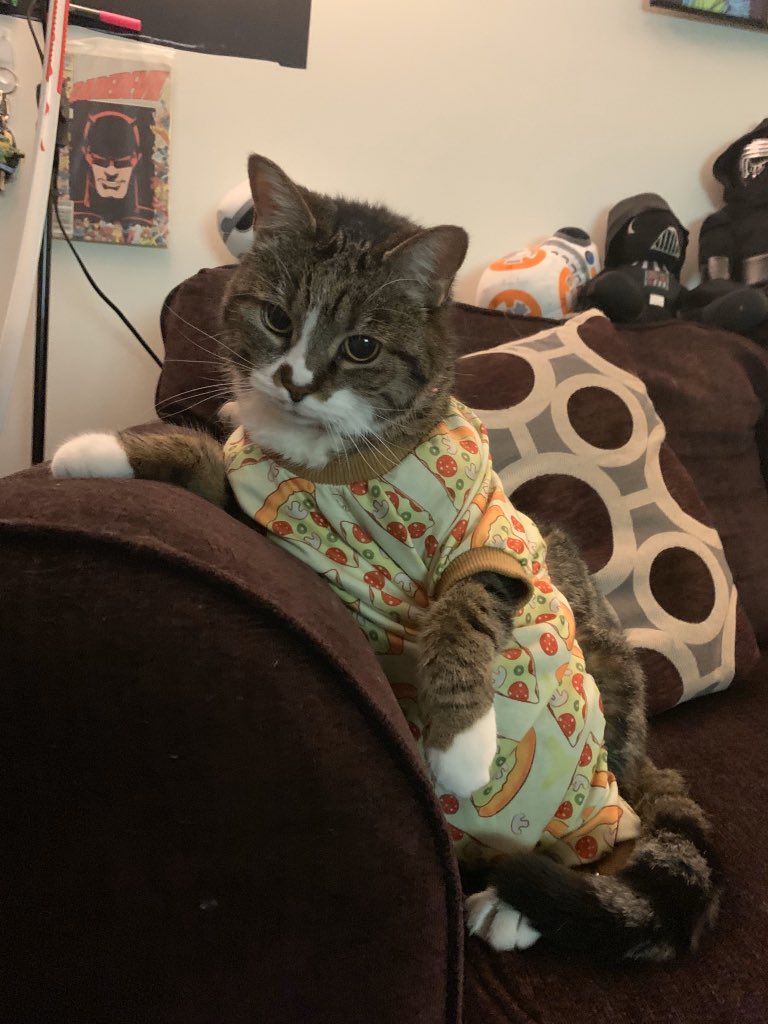 ErikSWayne's tweet image. Kiwi in Pizza pajama onesie time..