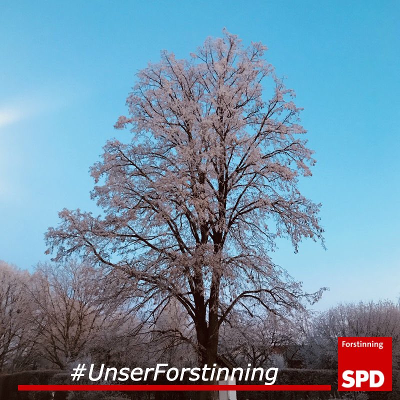 SPDForstinning's tweet photo. Auch an frostigen Tagen ist uns warm ums Herz in Forstinning! 🥰
#UnserForstinning #SPD #Forstinning #Winter https://t.co/6U7pS34KqH