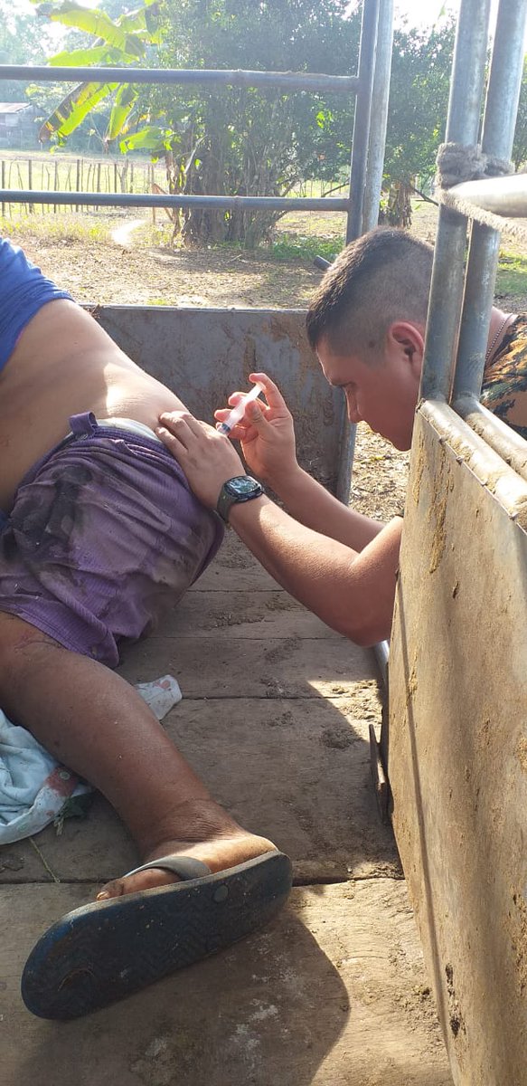 BEOSelva's tweet photo. #BEOSelva A través del Destacamento Militar de BETHEL prestó auxilio a Señora en estado de Gestación, del caserio la Lucha, Las Cruces, #Petén, quien presentaba mordedura de serpiente en la pierna derecha, administrandole suero antiofidico, evacuandola al hospital de Sayaxché. https://t.co/rxkQkM9eH3