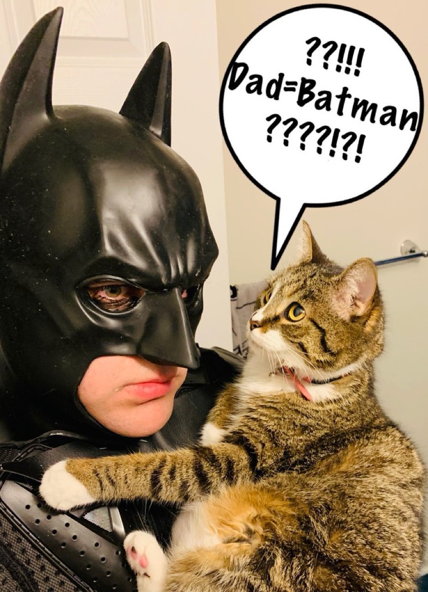 ErikSWayne's tweet image. When you find out your dad is Batman...