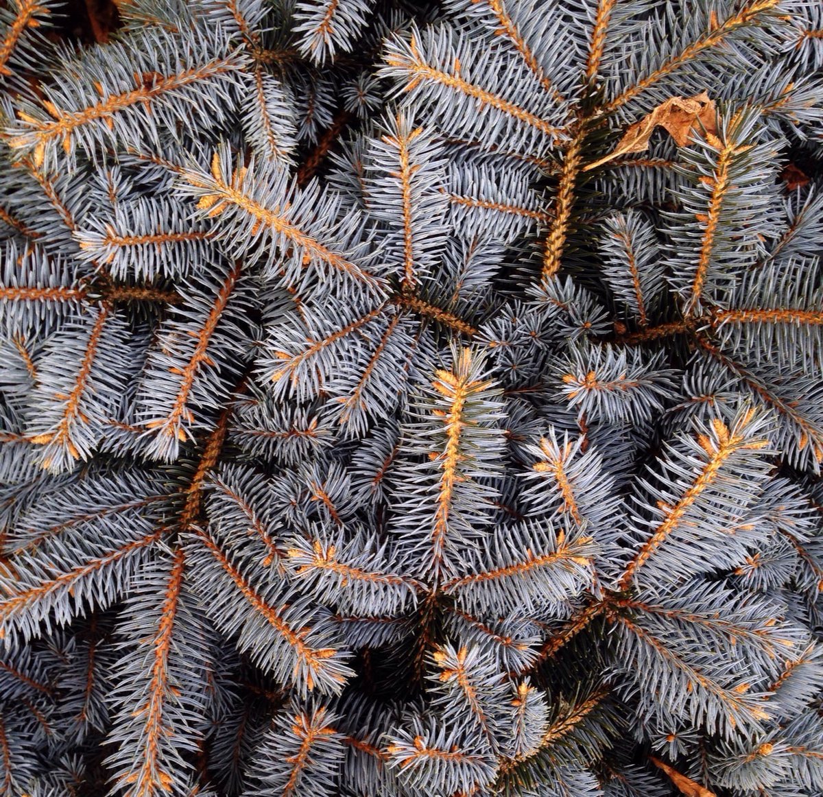 It's the holiday season, and we have adjusted hours for this week!

Check out our website for days and details: ebenezerscoffeehouse.com

#ebenezers #coffeewithacause #capitolhill #coffeehouse #washingtondc #coffeedc #acreativedc #socialresponsibility #smallbusiness