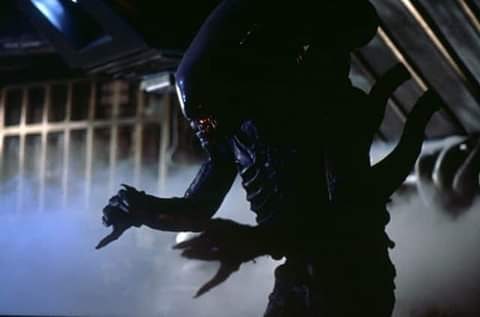 HumanWormBaby86's tweet photo. Good morning it's day 364 in celebrating the 40th anniversary of ALIEN 🙂❤️ #Alien #Nostromo #MyAlien40th @AlienAnthology https://t.co/6R7kq4lbXC