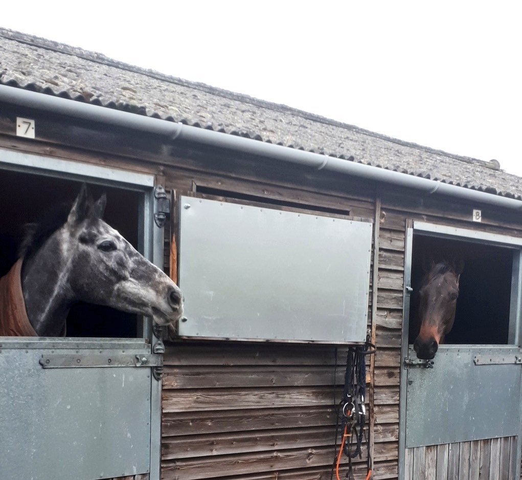 Long way to Kelso but definitely felt shorter on the way home with both boys winning! #iwilldoit #mariodepail #greatday #samthomasracing #double #kelsoracecourse