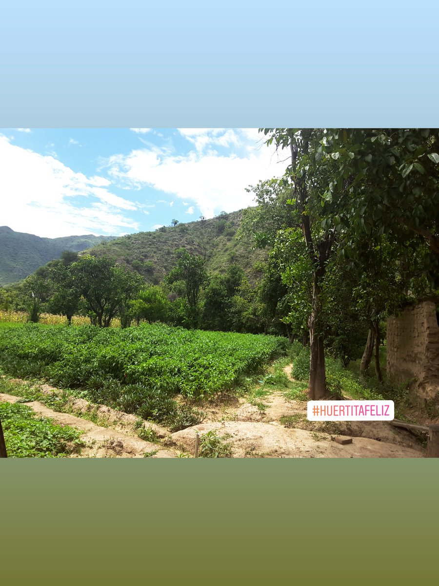PEricka30's tweet photo. Mi amada Bolivia, hermosa en todo su explendor 😍🇧🇴
#Bolivia 
#Chuquisaca https://t.co/LtU8iMFC0e
