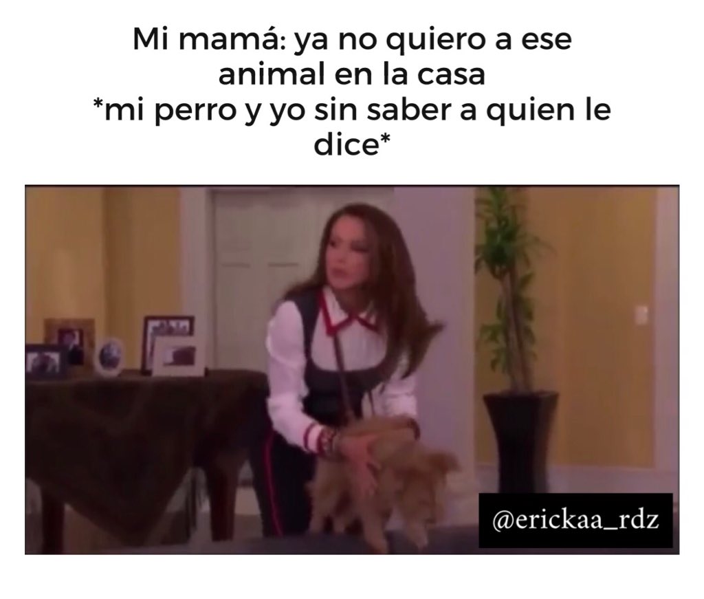 Creo que ya los eligió pero a mi me dio risa 😂 #mehagoroscayya