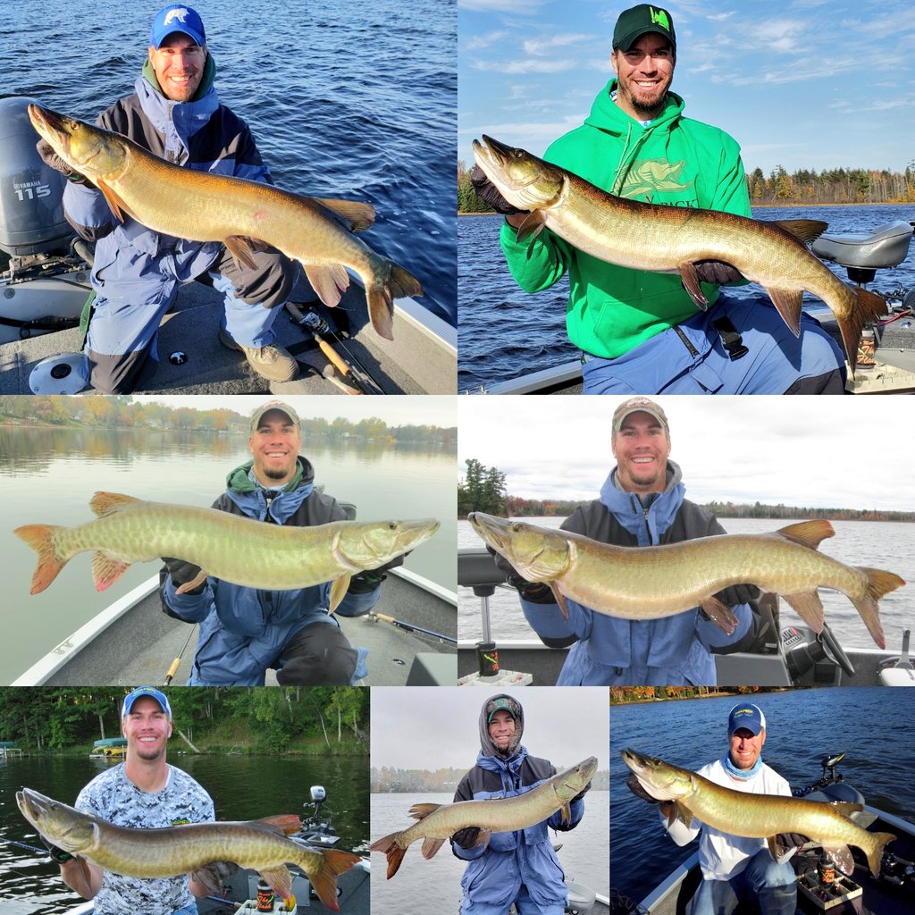 OlHossVike's tweet photo. Sports Teams/Leagues are doing all-decade teams & all-decade moments so here's my Top 10 #Muskies from the '10s (and three bonus #TigerMuskies to boot). It's my all-decade Muskie team! #MuskieFishingBuildsCharacter ๐ช #PursueTheBeast https://t.co/cDj8Uro8hA