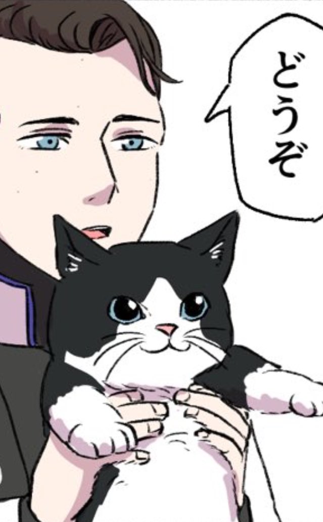 ネコチャン 