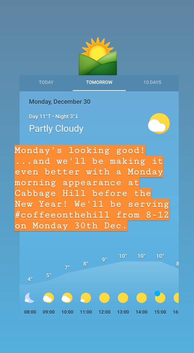 Bean and Fizz tweet media