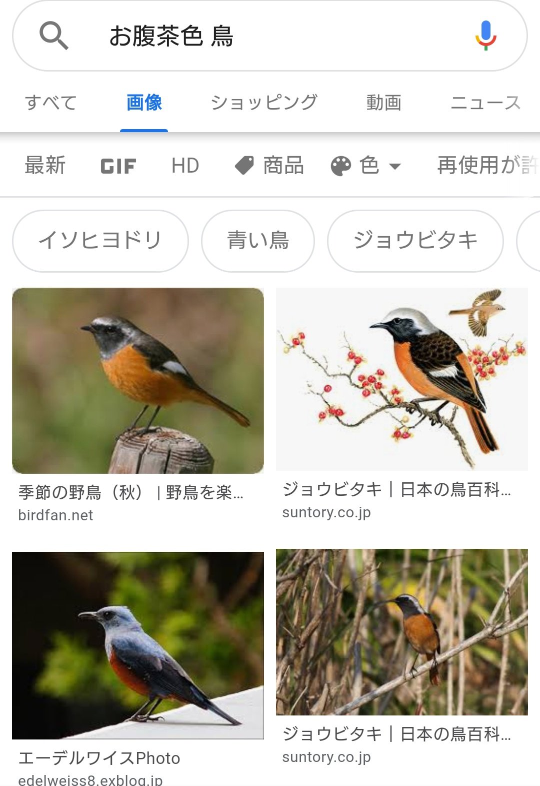 トーヴ No Twitter お腹茶色の鳥 ググる ジョウビタキ 繁殖地はチベットから中国の東北部 ロシアの極東部である沿海地方 バイカル湖周辺 日本へは冬鳥として越冬 温暖の静岡県に ようこそ