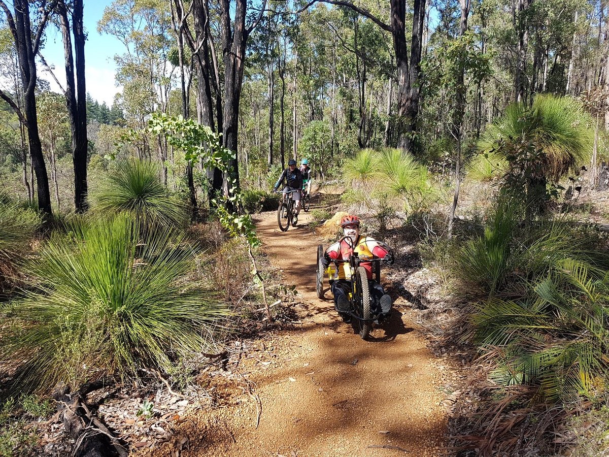 OurWAParks's tweet photo. The latest trail through the #ArklowForest in the #SouthWest has been completed as part of the #Collie Adventure Trails initiative.
Read more: https://t.co/KGsnkDROj0
(๐ท: Jesse Donovan on the Arklow Trail | Department of Biodiversity, Conservation and Attractions) https://t.co/ItothZDLAt