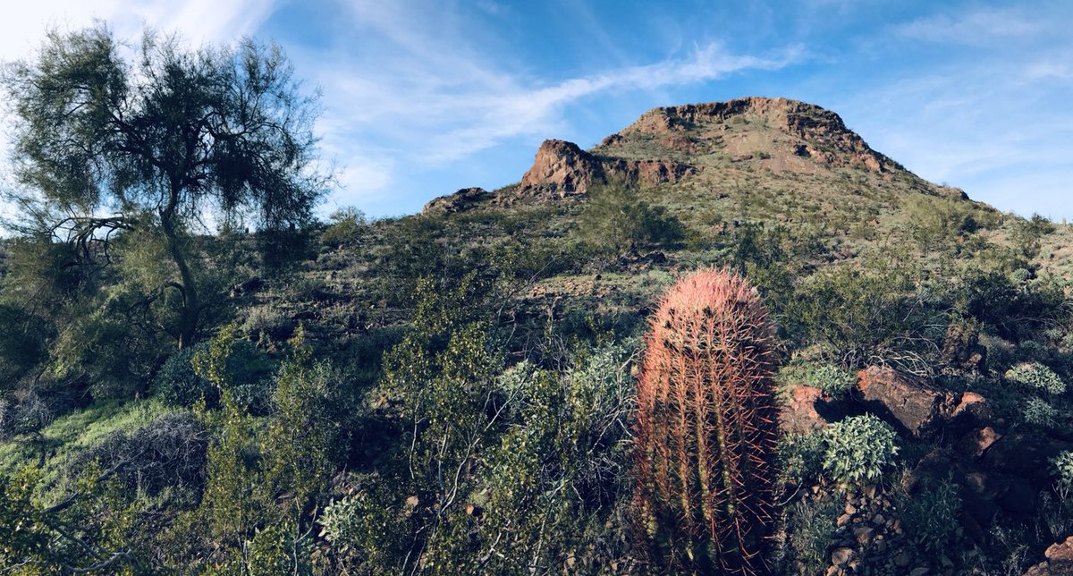RyanThomasCody's tweet photo. All the rain is turning Lookout Mountain green! #azwx #12News #DesertWinter https://t.co/RDXE1Aeg8v