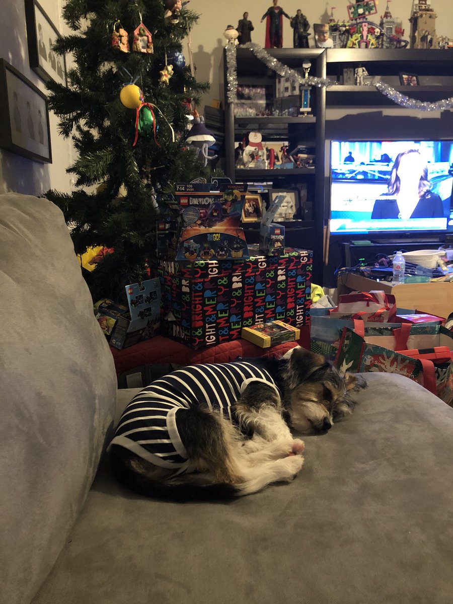 twittipolitti's tweet photo. He was watching, I promise. But he’s still a puppy and sometimes he just has to go to sleep. Especially when he has on cozy striped pajamas. #dogswatchingkcdc https://t.co/gTlO2VCYfS