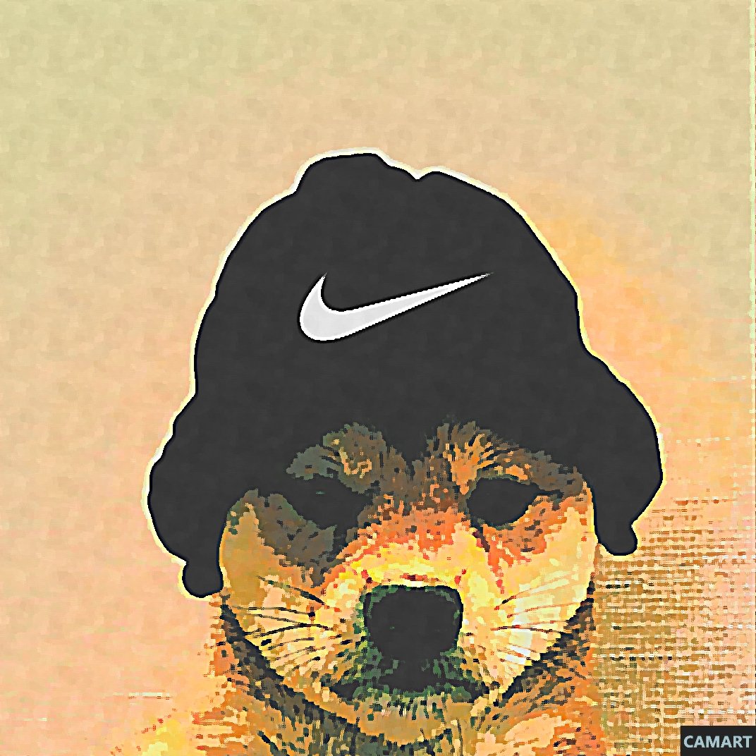 dog with nike hat