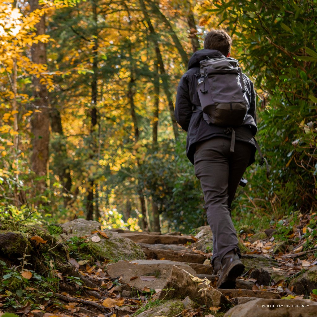 "Remember that hiking was the predecessor to walking. Because there were no sidewalks when your ancestors were out trying to take down a saber-toothed tiger with a spear. They hiked, then later there were roads and sidewalks for walking" - Brendan Leonard