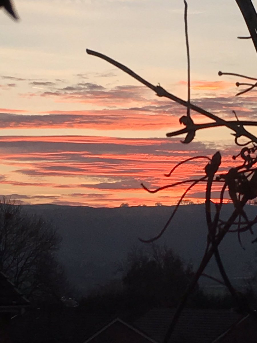 Jan_Lentzos's tweet photo. Tonight’s sky...
Ten minutes after Sunset 🌅
As seen from my bedroom window...
#SunsetSky #SkyOnFire #TheViewFromMyWindow #December #FromMyWindow #MyBedroomWindow #Winter #Sunset #Wintry #Clematis #Outside #ByMyWindow #SunsetPhoto #MyView #LovelySky #PostSunset #SkyPhotography https://t.co/RKyIWgFqmM