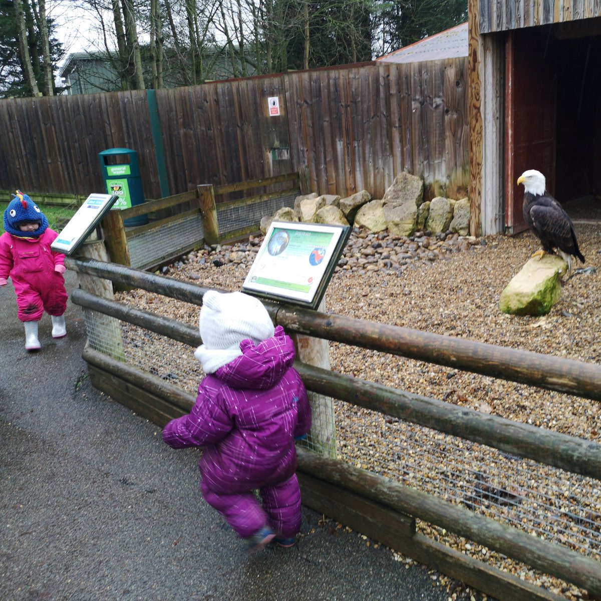 Growing Up With Nature tweet media